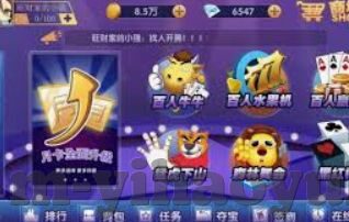 德州扑克筹码分配原则-德州扑克筹码分配原则，策略与平衡的艺术
